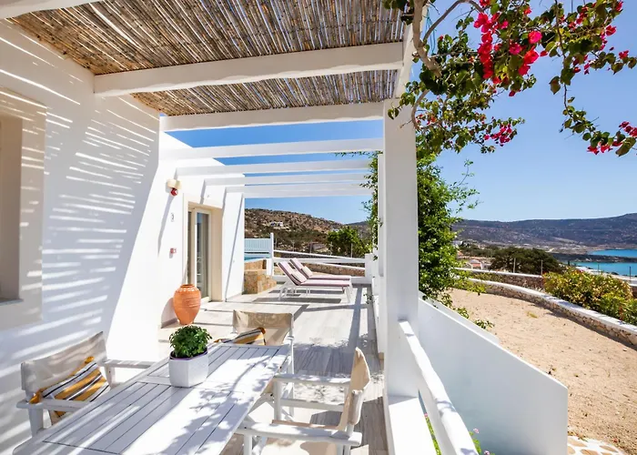 فيلة Silene أموبي